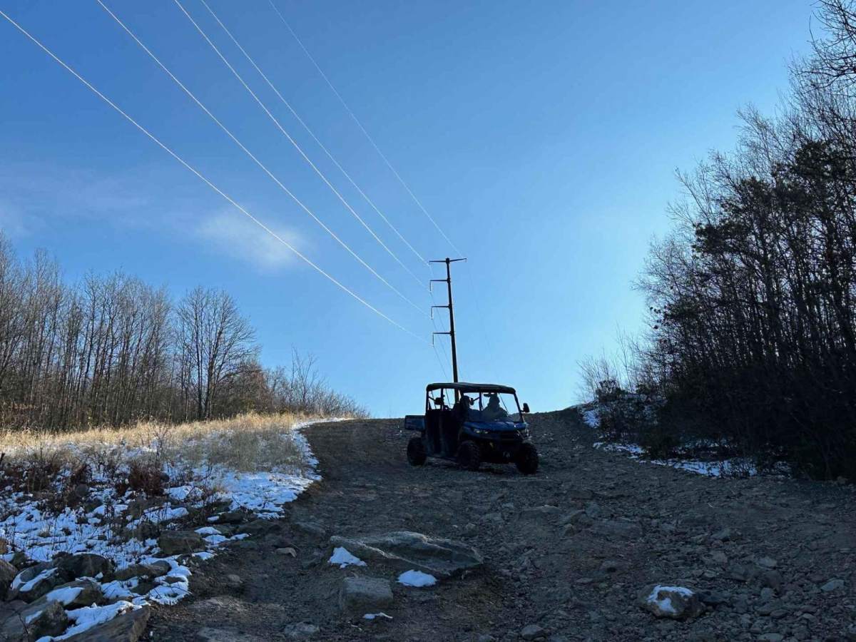 Locust Gap 69 photo 2