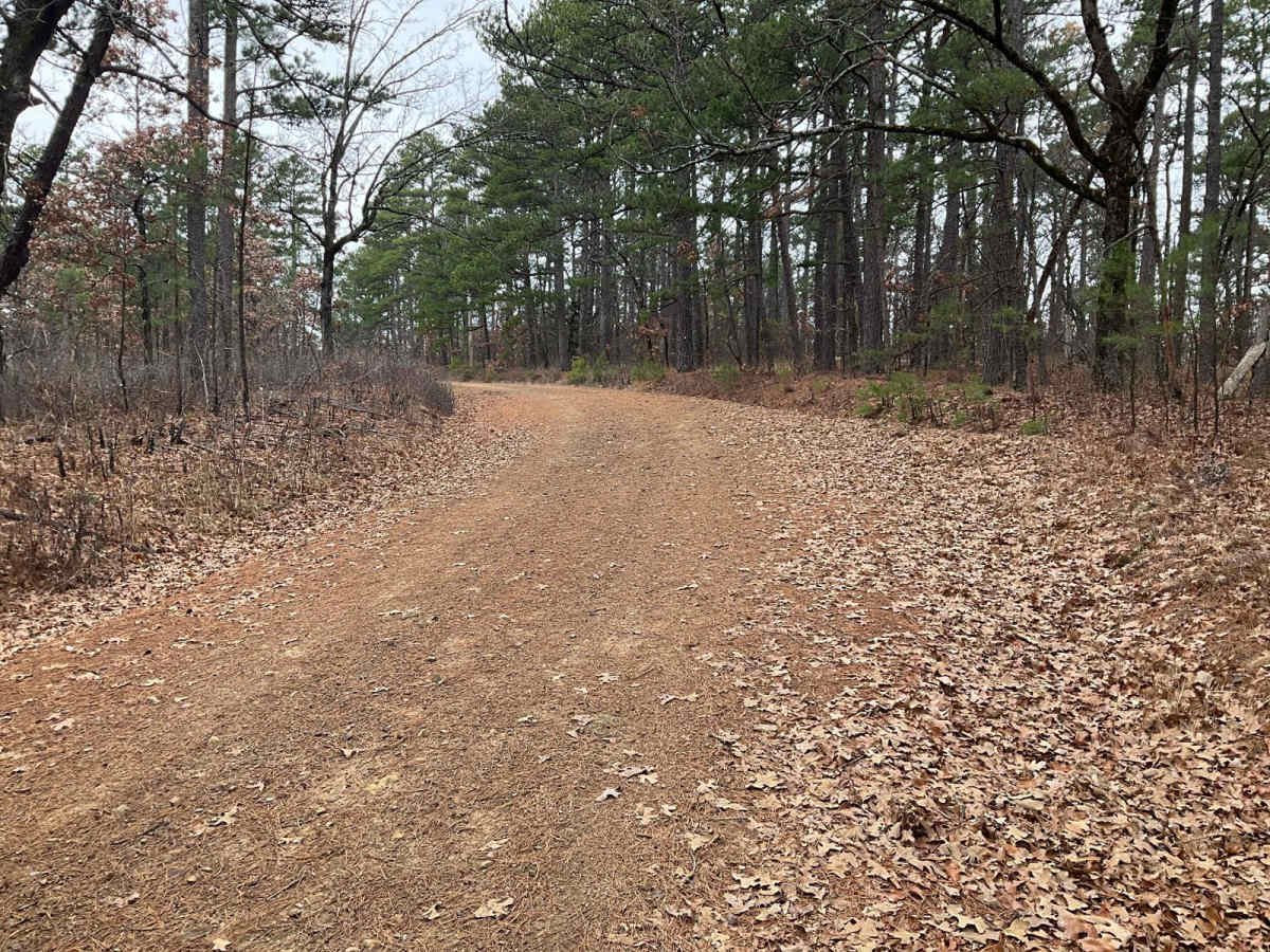 Tram Ridge Trail photo 3