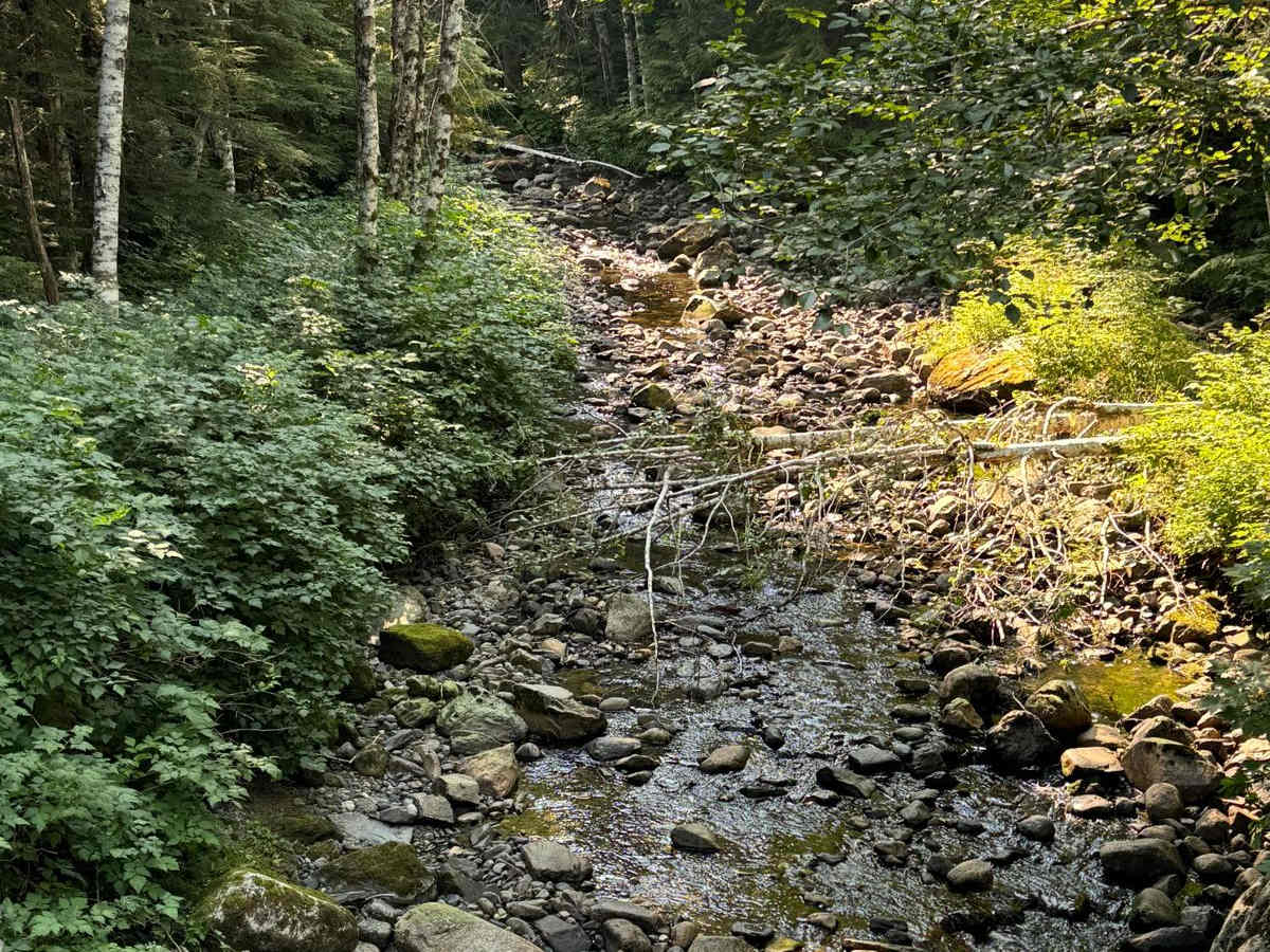 Bear Lake Trail trail photo