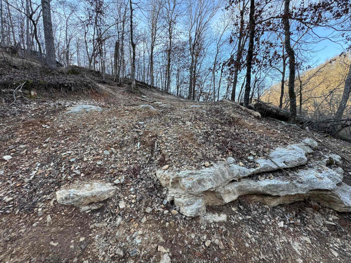Red 408 trail photo