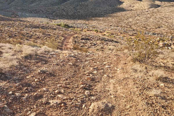 Rock Canyon - Single track