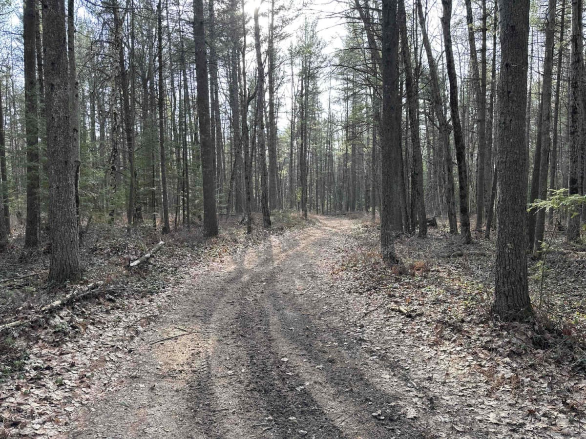Devils lake to Indian reserve rd. photo 3