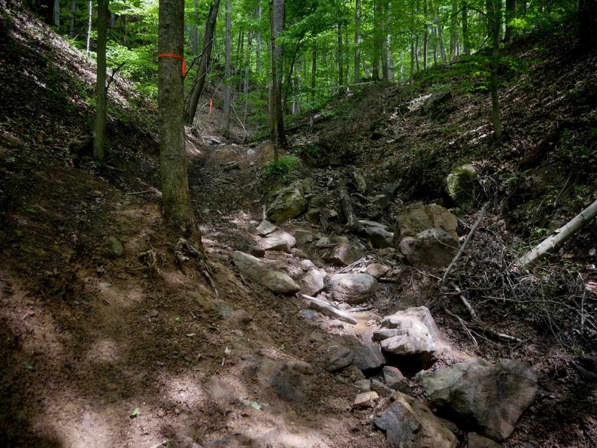 Puke Creek trail photo
