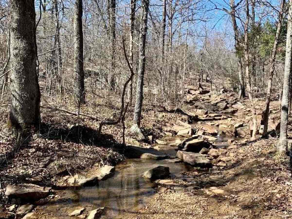 Thunder Chicken trail photo
