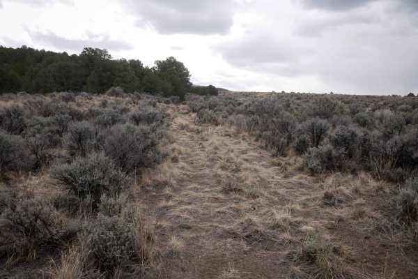 Marshall Canyon ATV Trail