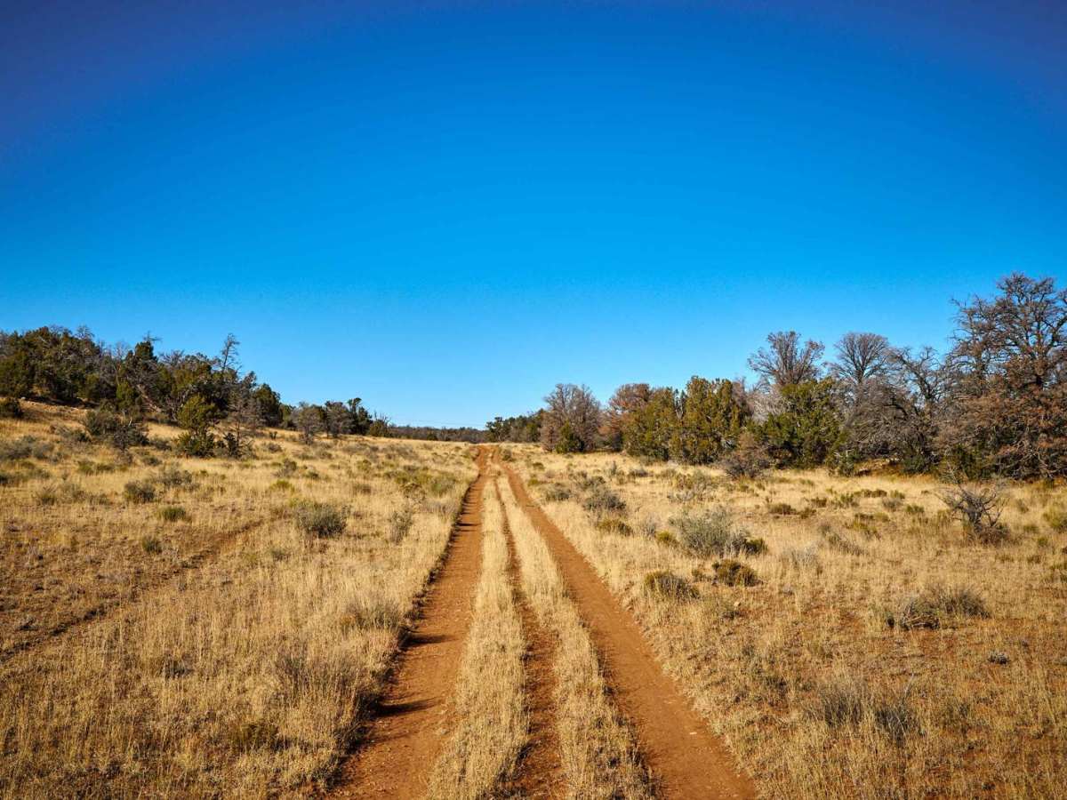 Old 312 Bucklar Road trail photo