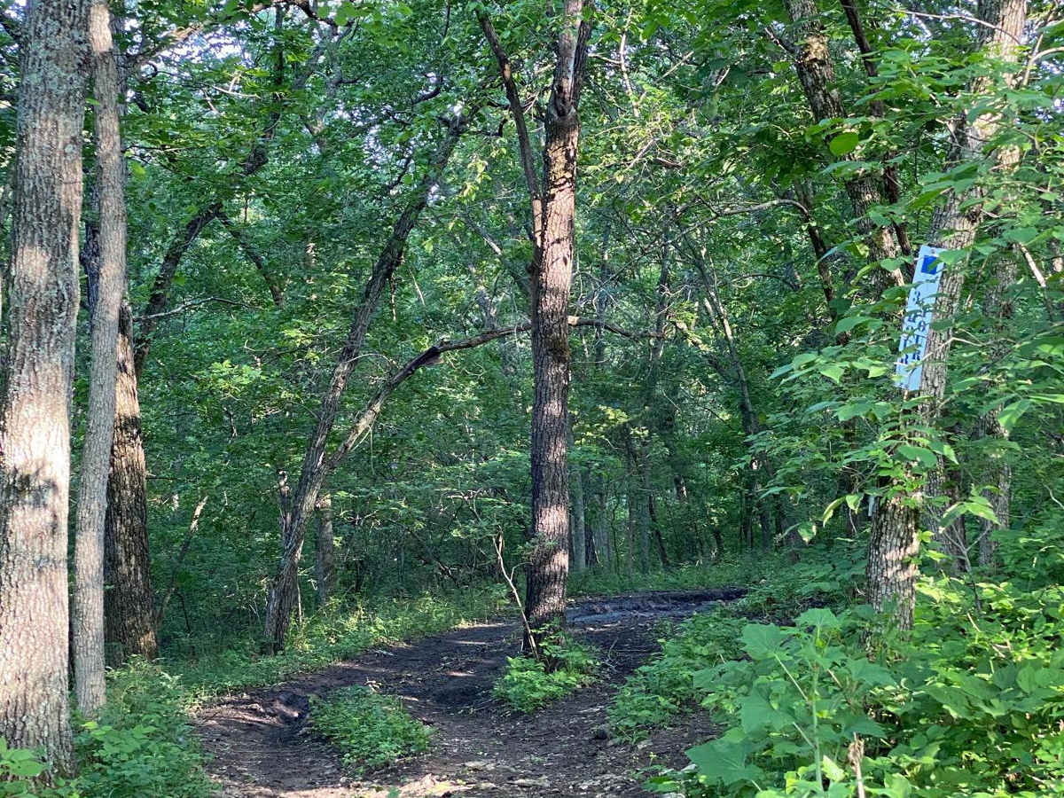 3 Hour Tour trail photo