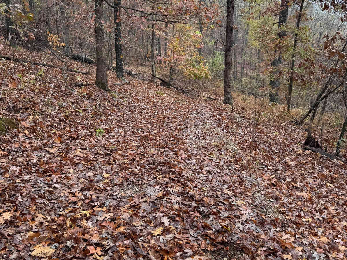 Green 88 trail photo