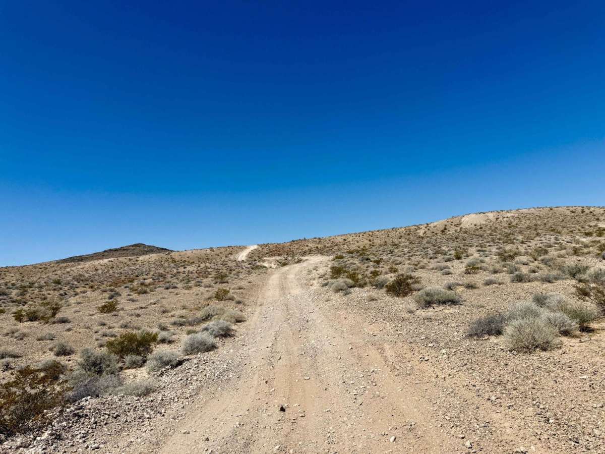Northwest Nellis Smashed Beetle Point photo 6
