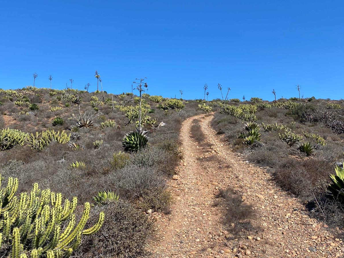 Valle Tranquilo Nature Reserve Loop photo 6