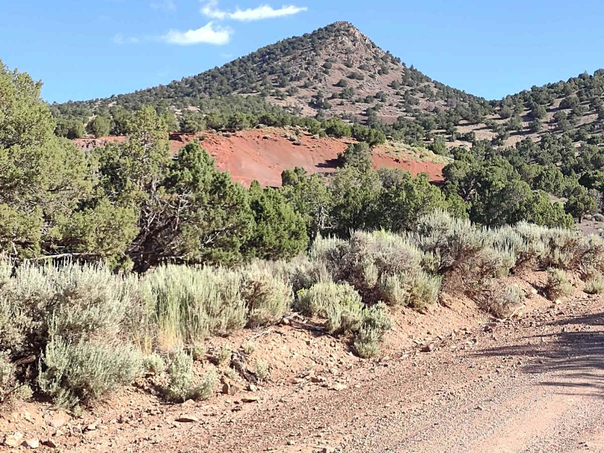 Monroe Mountain Road photo 4
