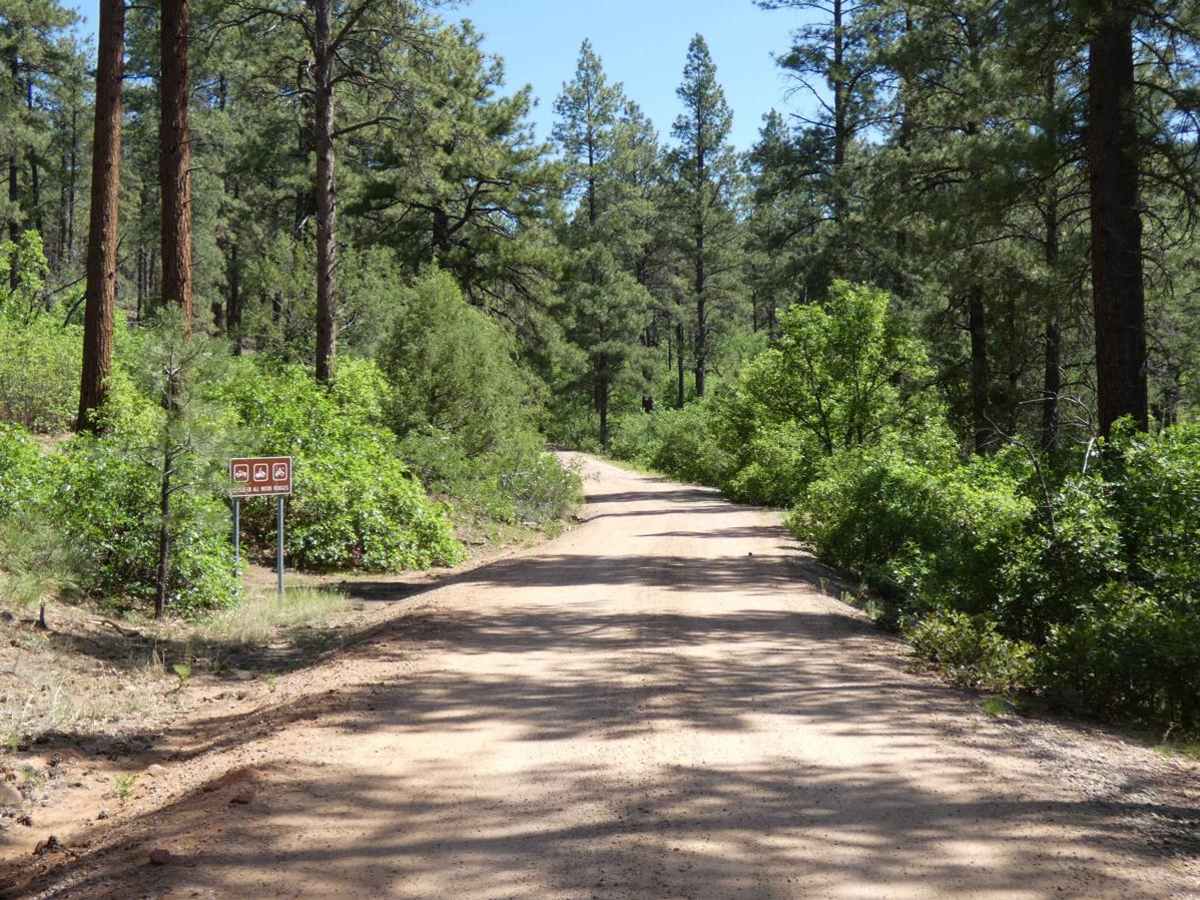 Green Camp Canyon photo 3