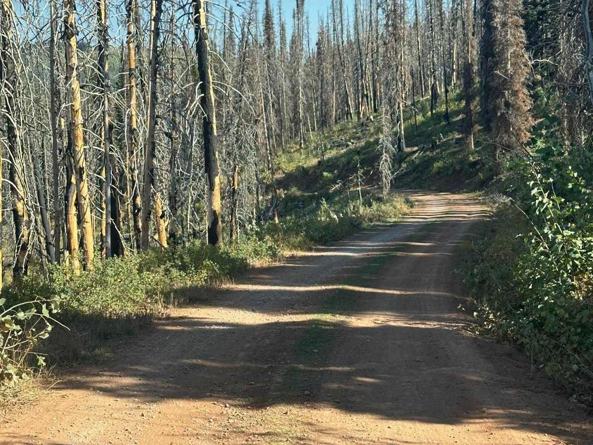Elk Valley trail photo