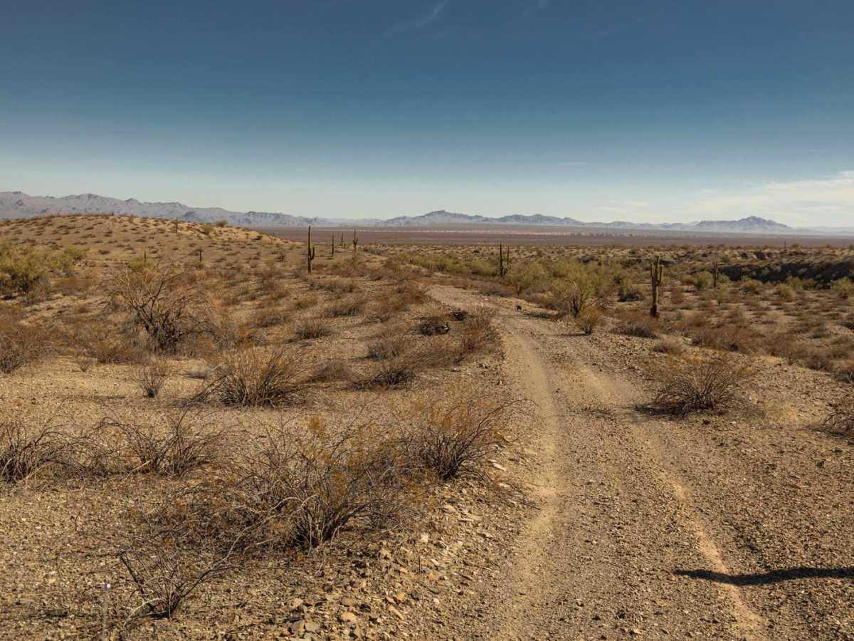 Rockridge to Wash - P1346 photo 5