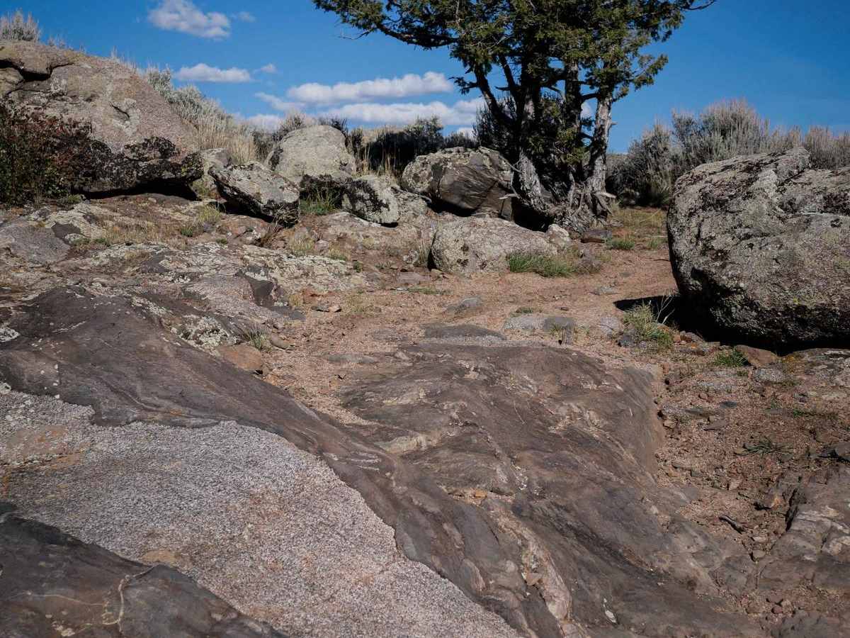 Skyline Spur trail photo
