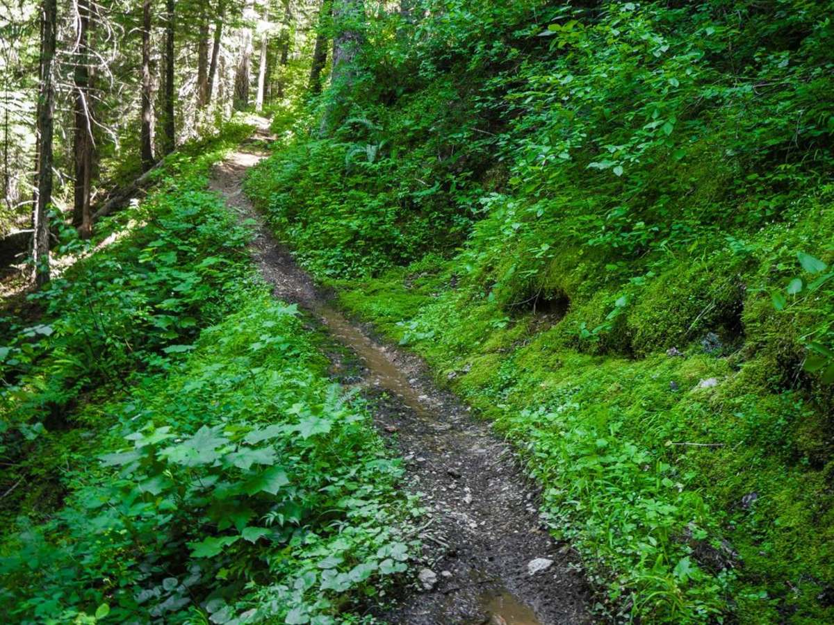 Cedar Creek photo 2