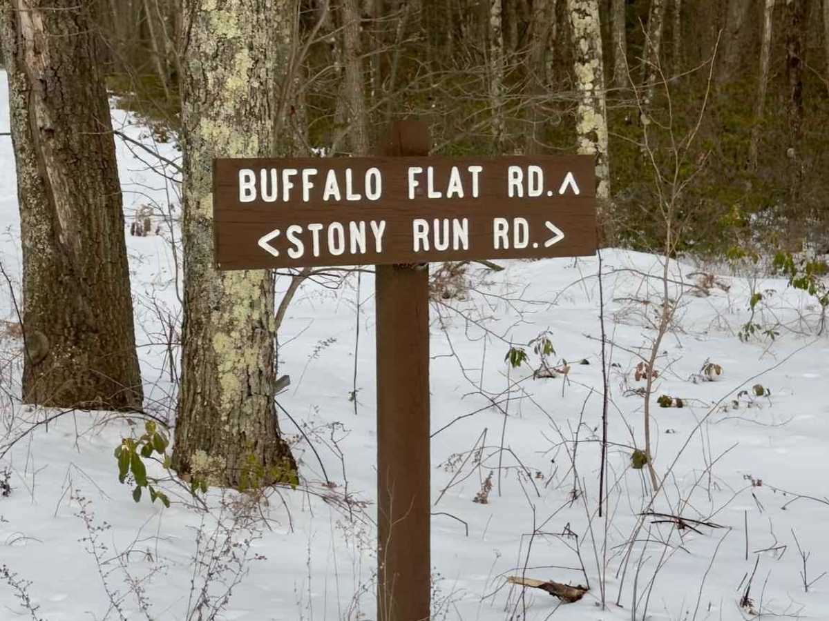 Buffalo Flat Road trail photo
