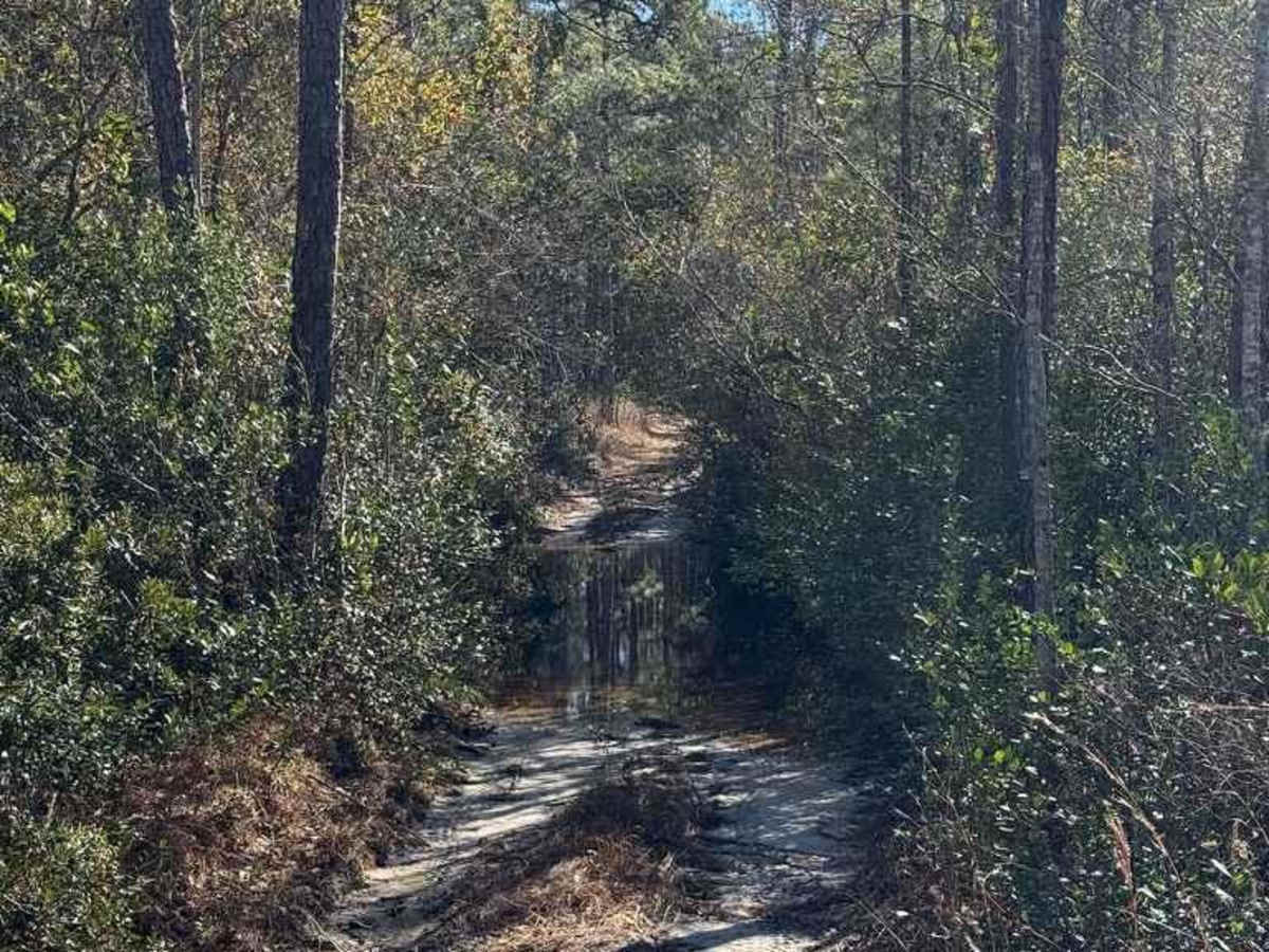 Pettiford Creek Eastern Entrances photo 2