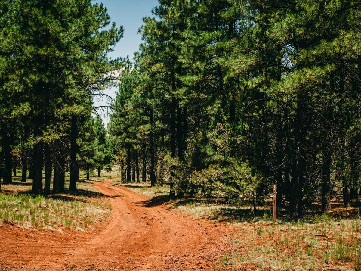 Old 136 Road trail photo