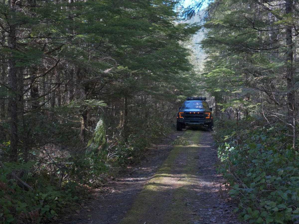 River Camp Paradise photo 5