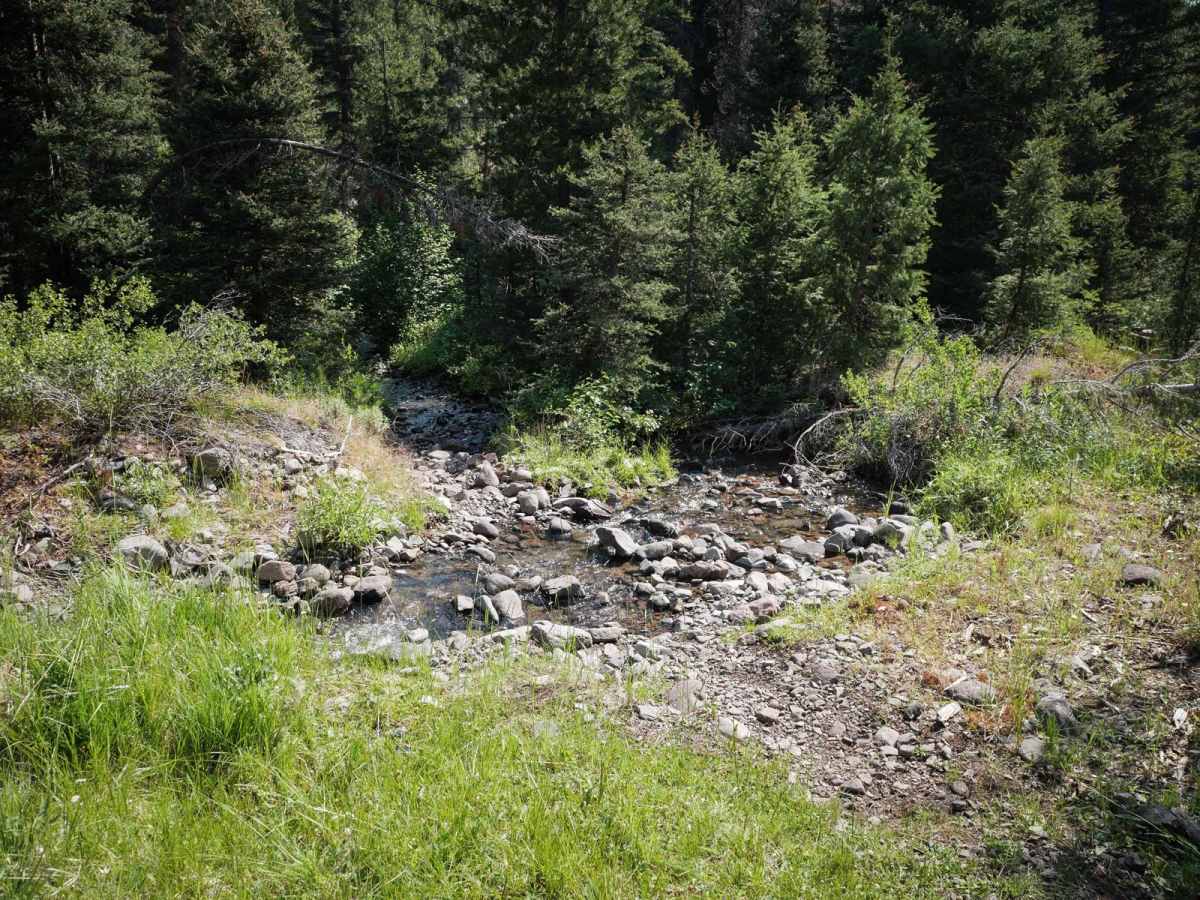 Eleven Mile - Martin Creek ATV photo 4