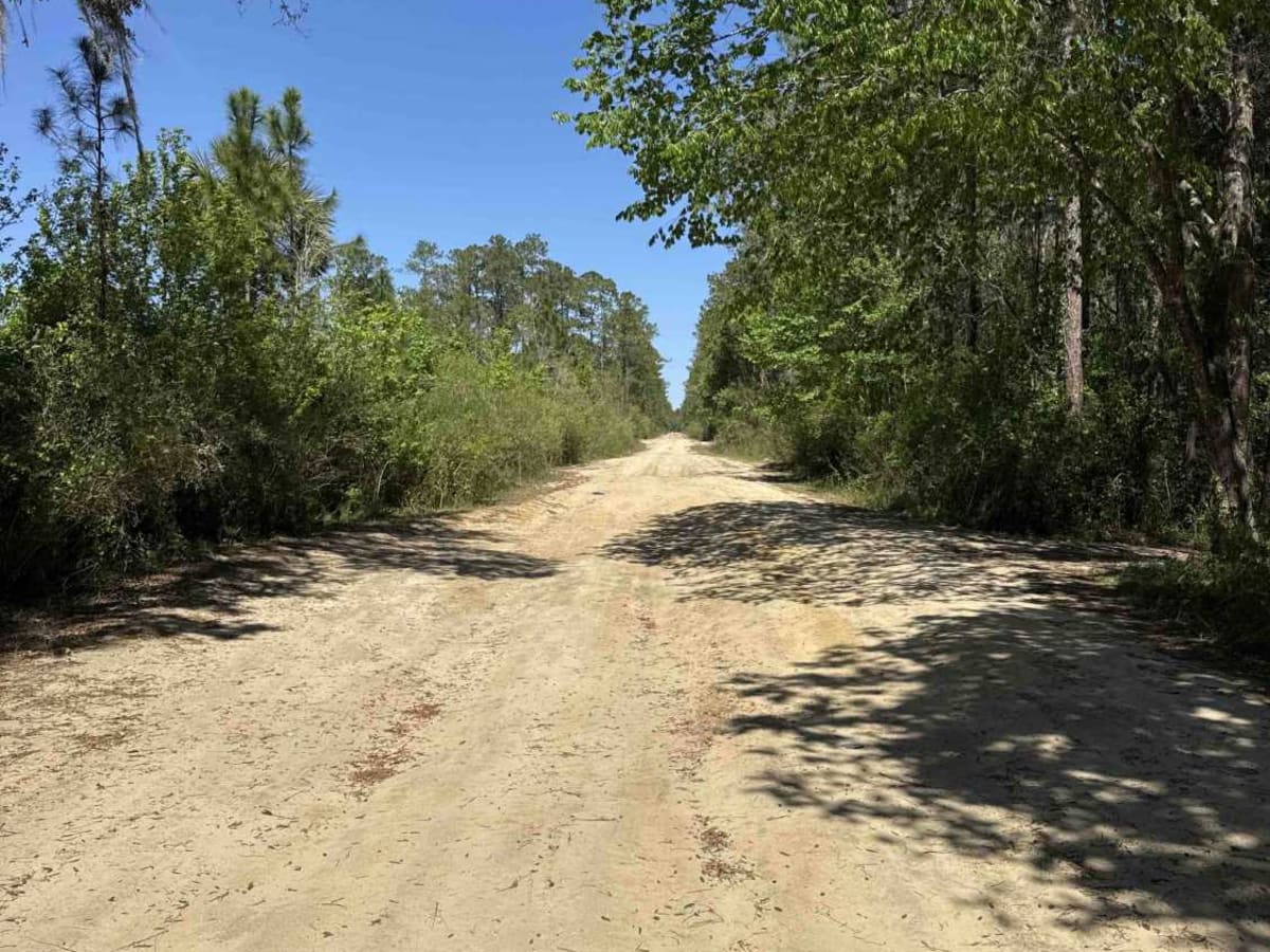 Black Water Creek - ONF 61 photo 2