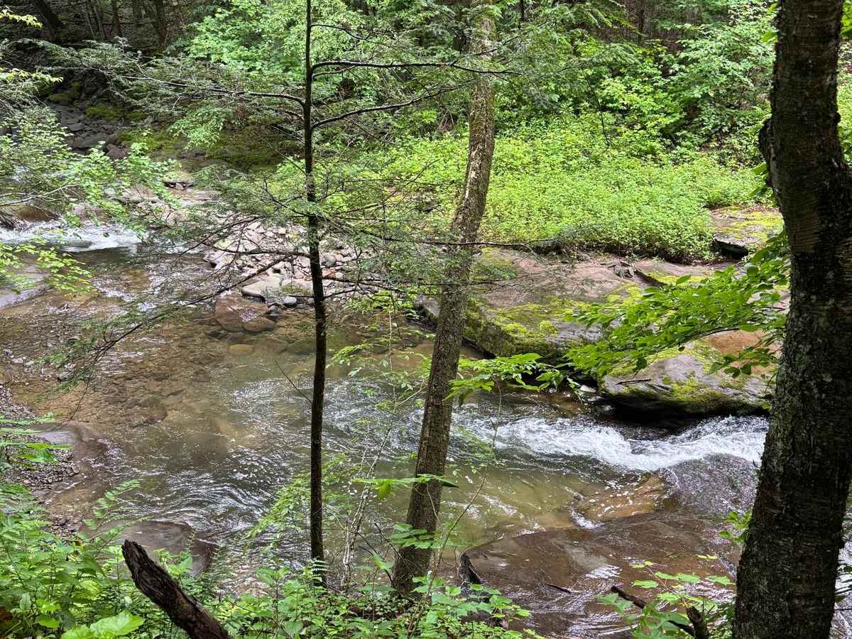 Hoolihan Brook Rd photo 4