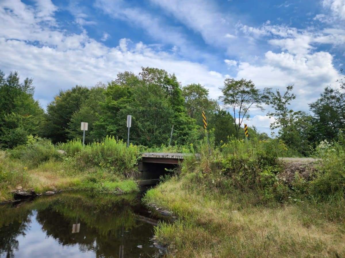 Michigan Mills Road photo 5