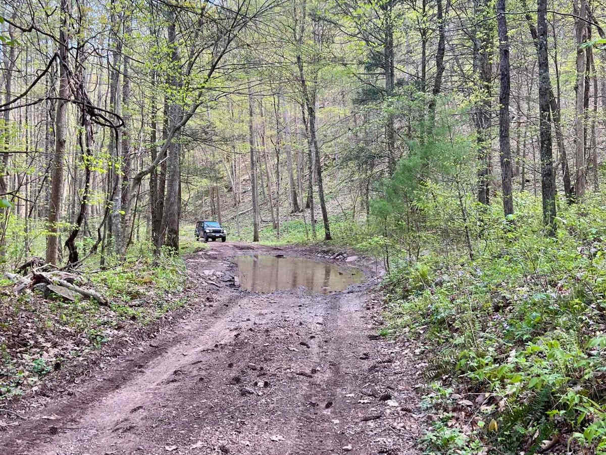Fort Seybert Trail photo 6