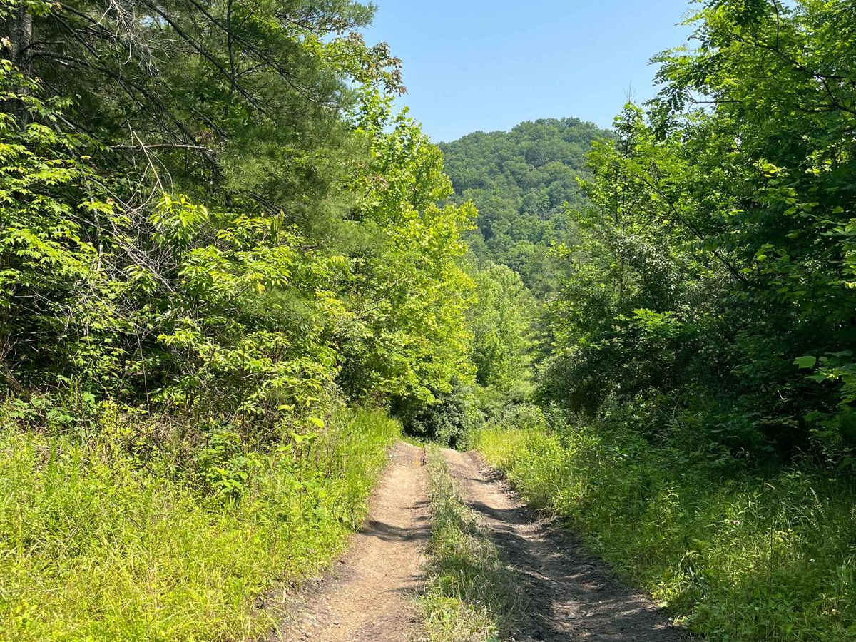 Trail 8 photo 6
