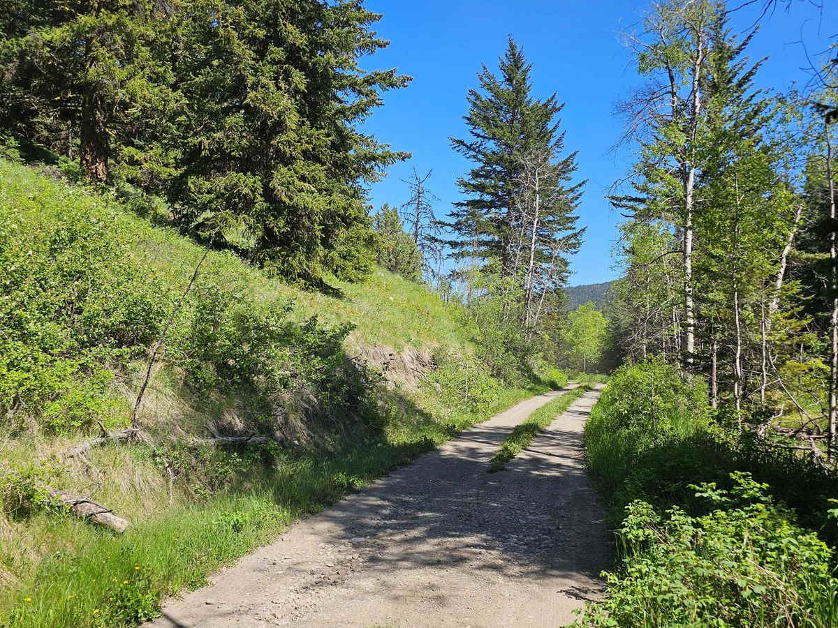 Hat Creek Road photo 4