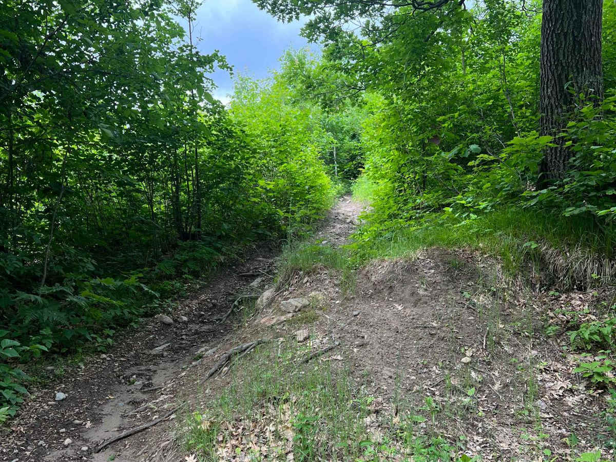 Paul Bunyan NW Starter trail photo