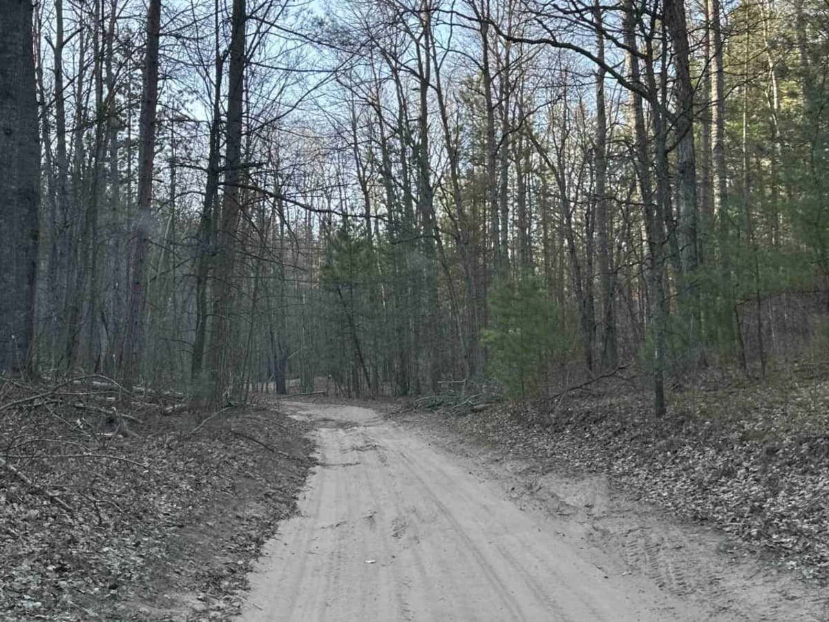 Bull Gap Hill Climb Area photo 2