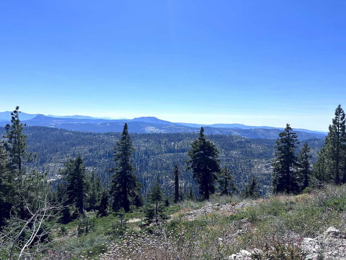 Red Mountain Road trail photo