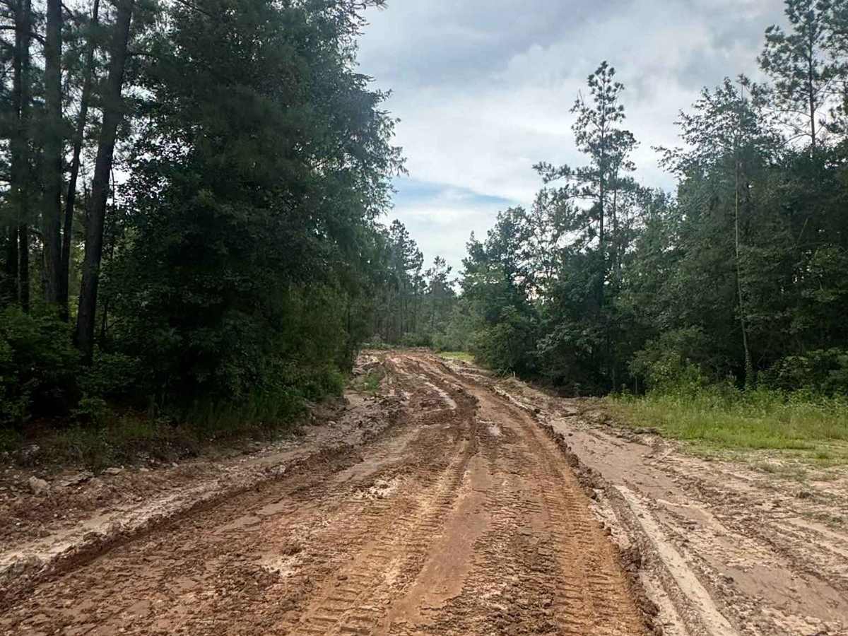 Generals Way - Main Camp Road 100 trail photo