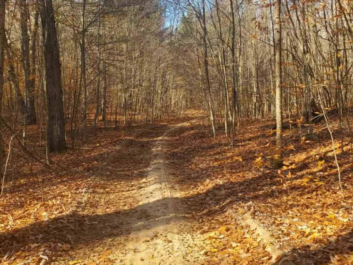 Trail 7325 photo 5