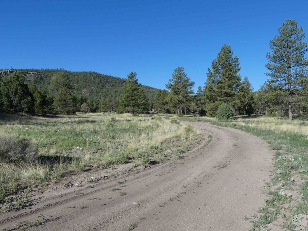 Crosby Canyon FS66 photo 5