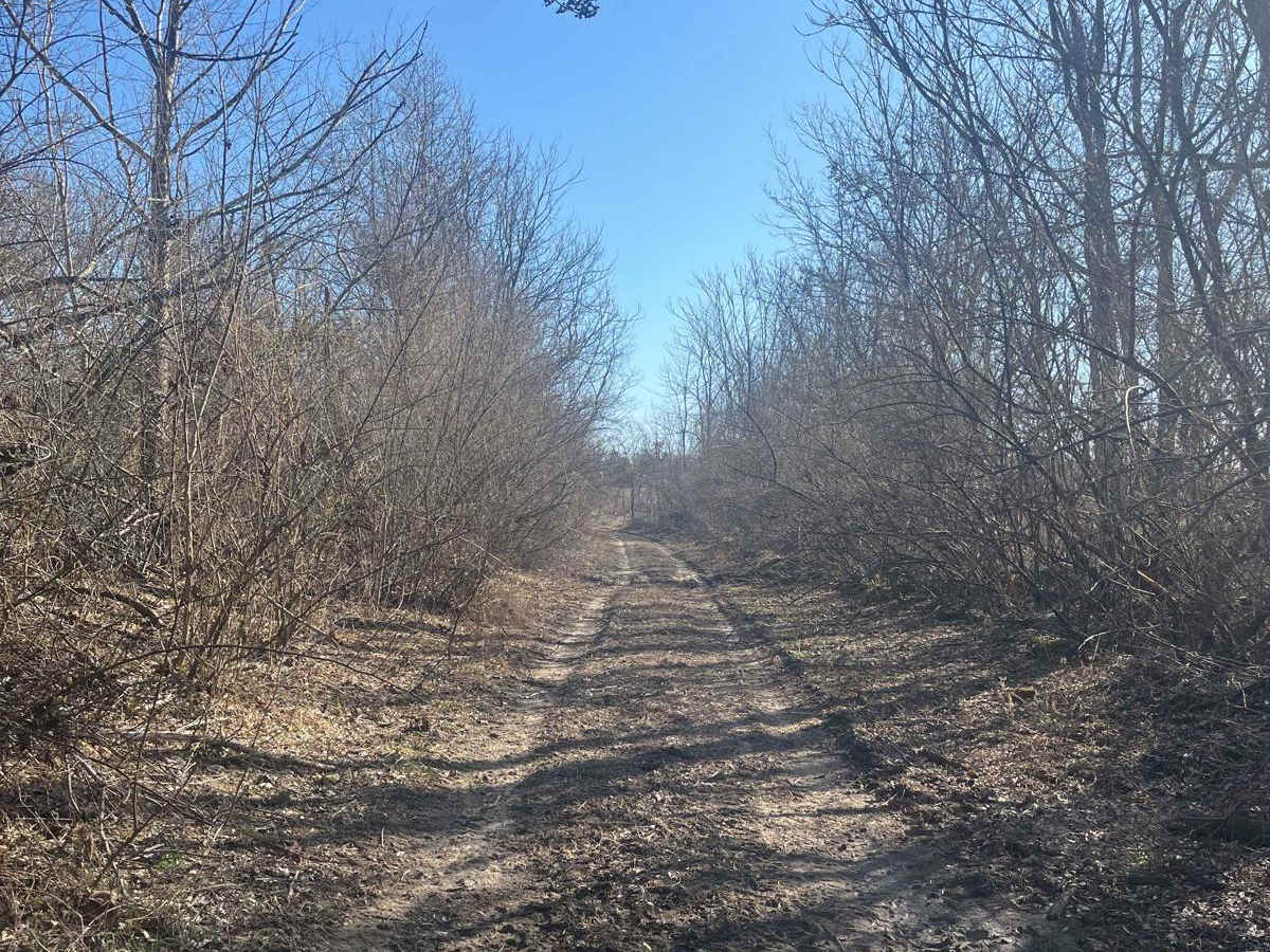 Trail 22 (Lovers Lane) photo 6