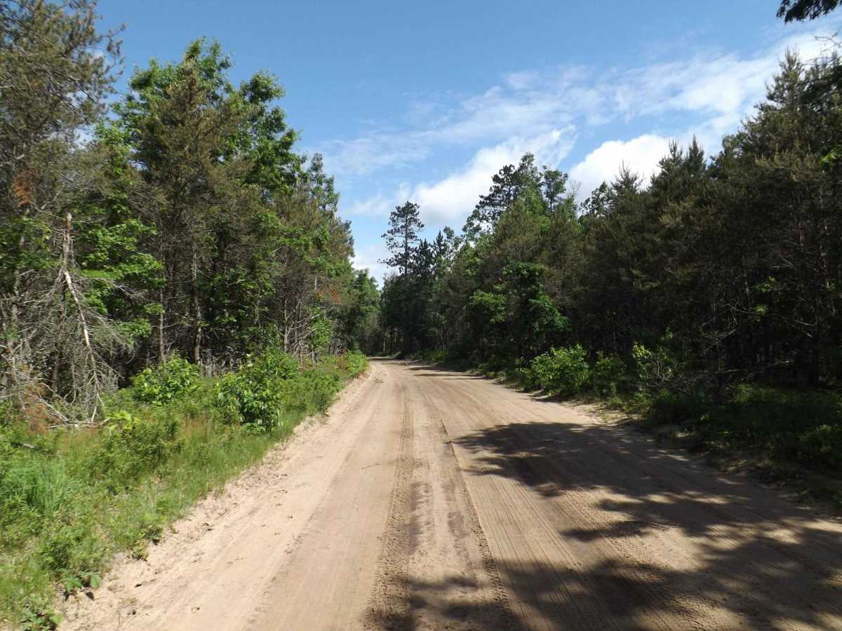 Sumac Trail photo 4