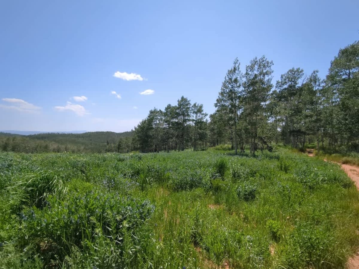 Dry Bread Hollow ATV - FS 6324 photo 6