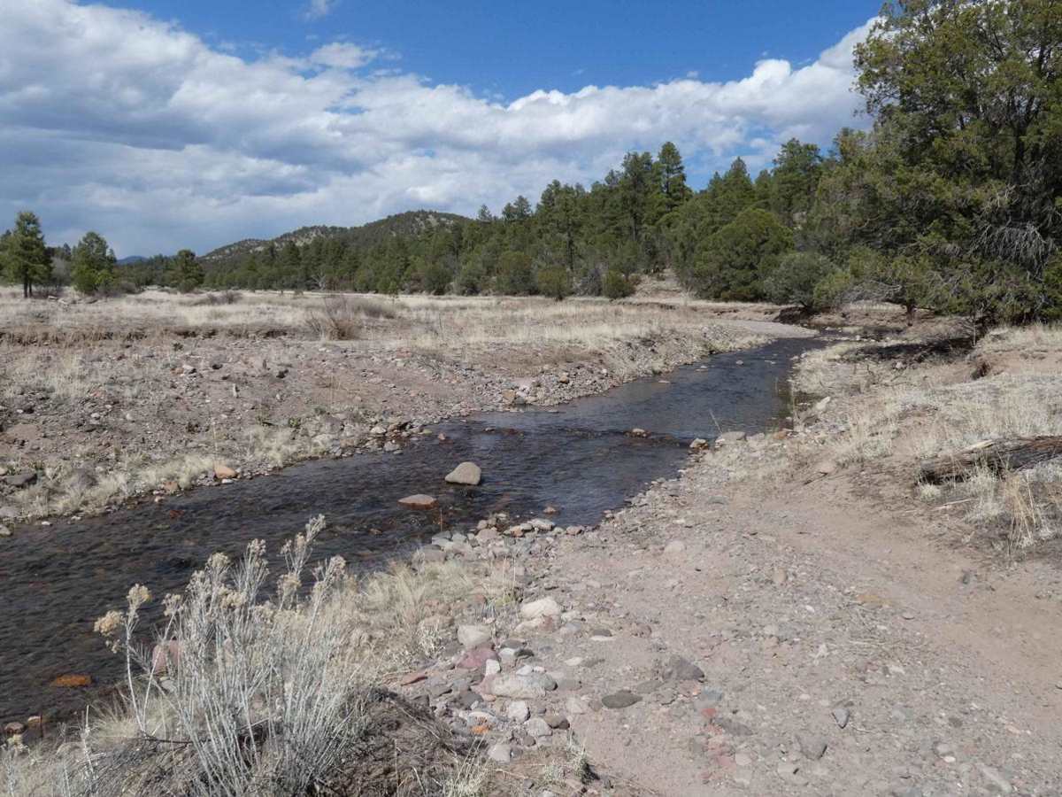 Mimbres River photo 6