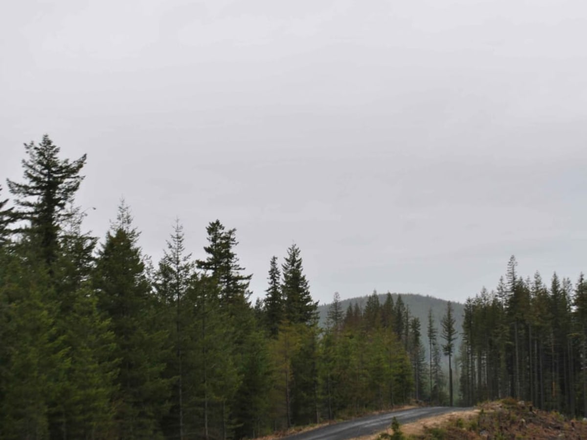 DNR 8 to Elbe Hills OHV trail photo