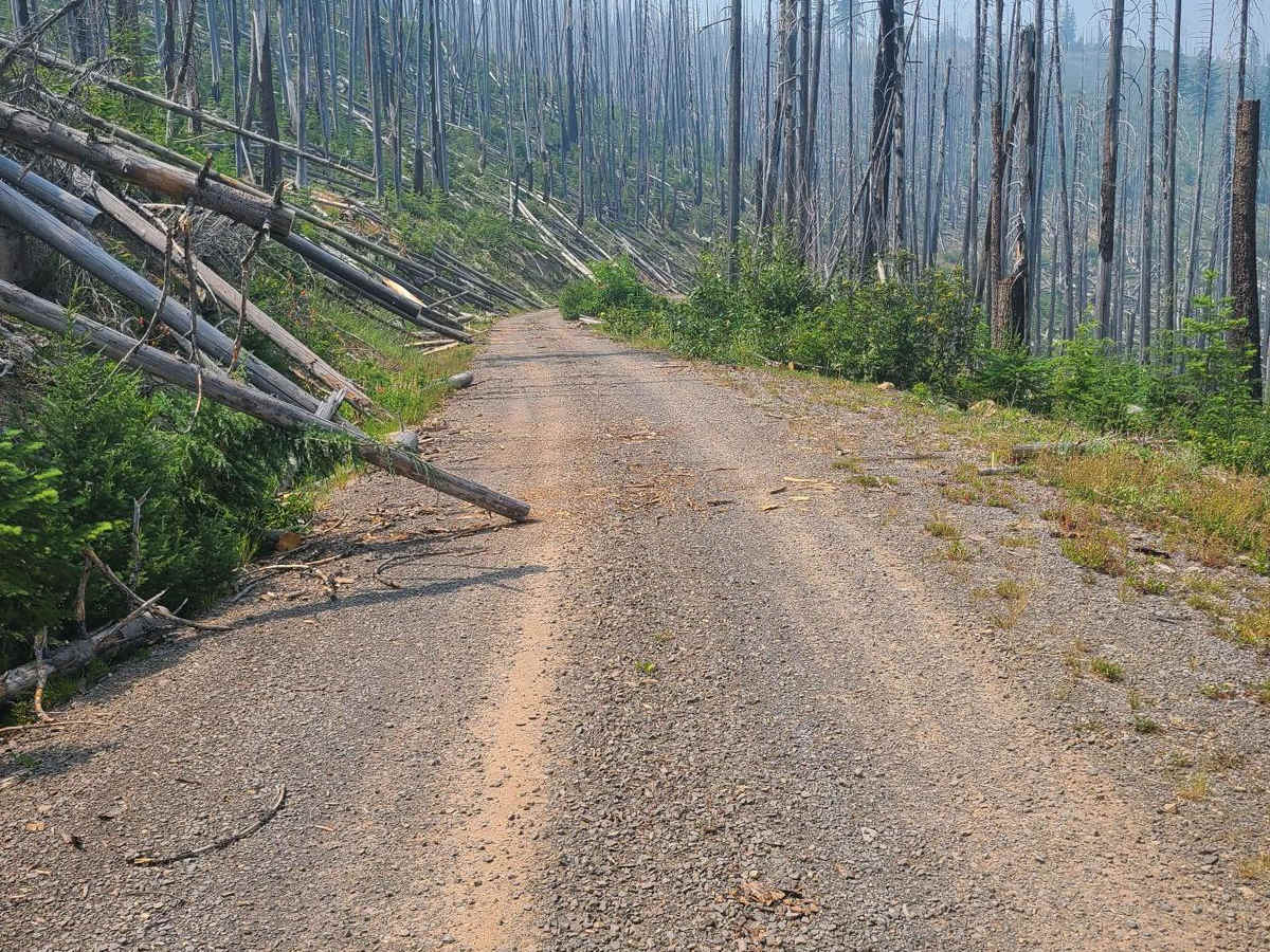Burned View trail photo