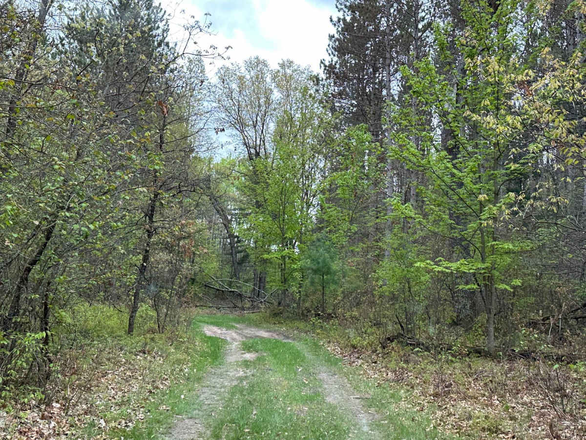 FS 3968 photo 6