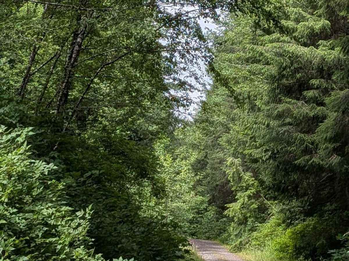 Moore Lake Main photo 6