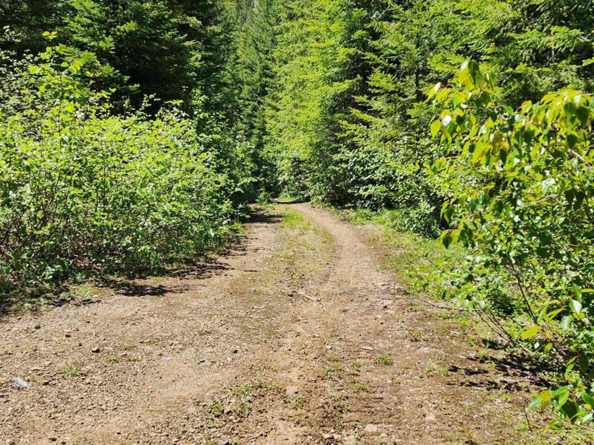 Jefferson Ridge Road photo 3