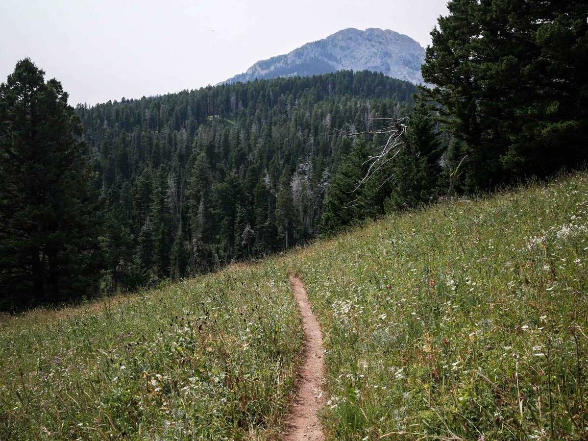 Upper Brackett Creek trail photo
