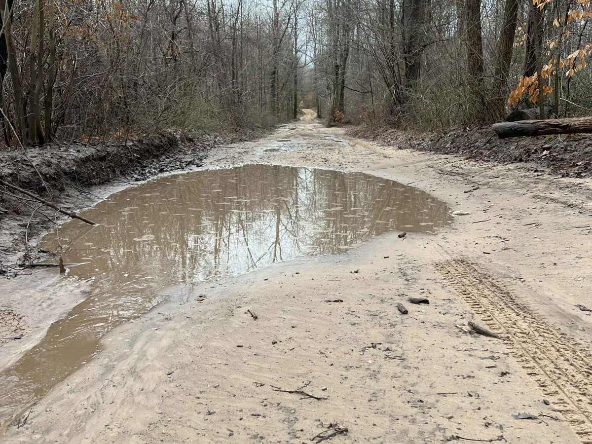 D Springs Trail (132nd Avenue) photo 3