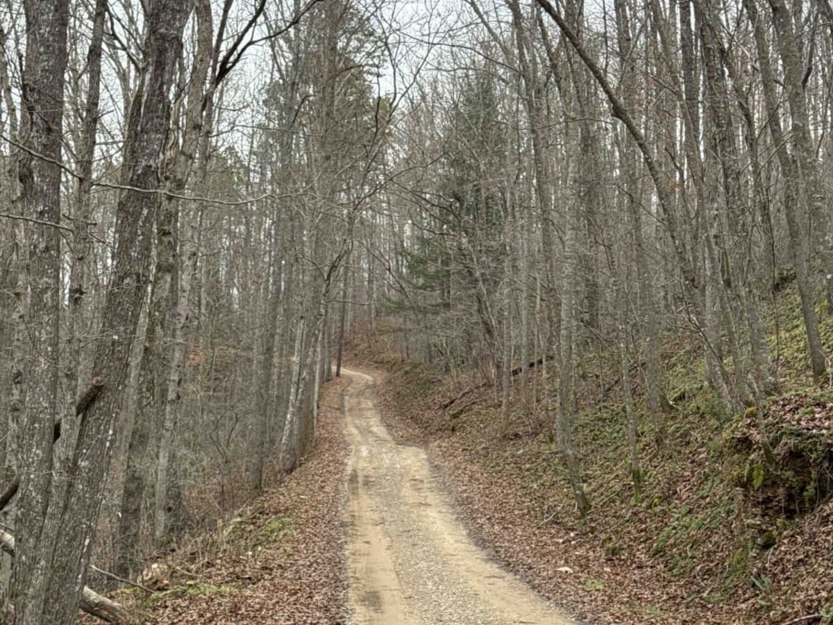 Clover Bottom Creek Road photo 4