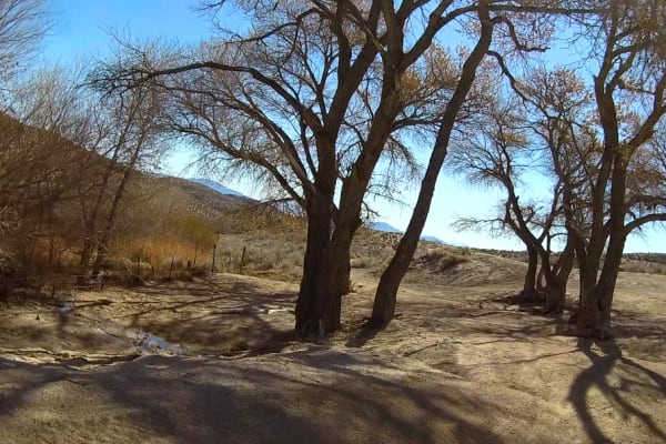 Dove Springs Access Trail